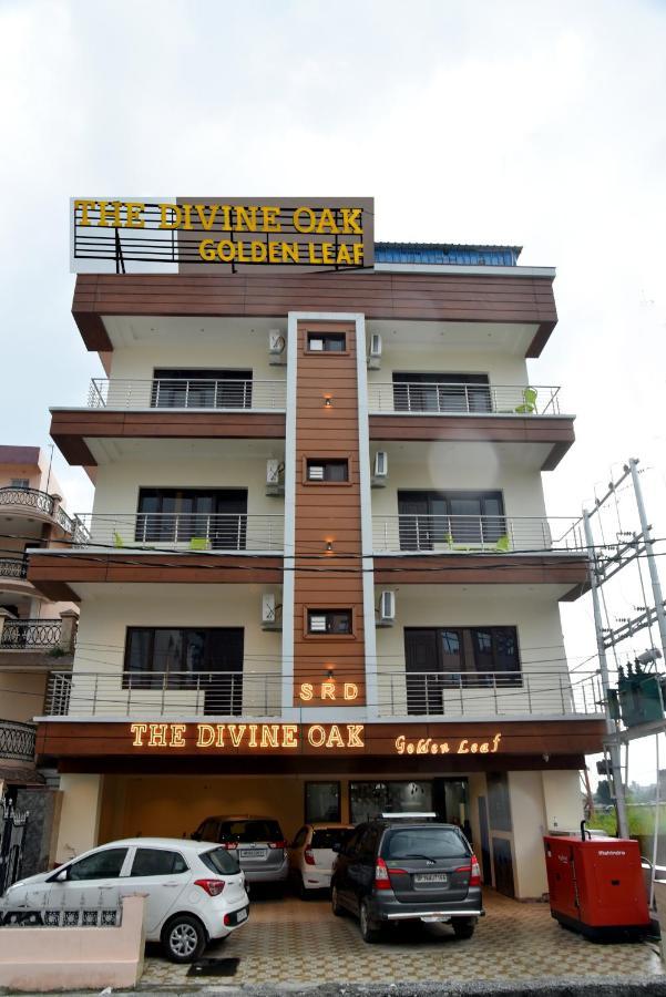 The Divine Oak Golden Leaf Hotel Katra  Ngoại thất bức ảnh
